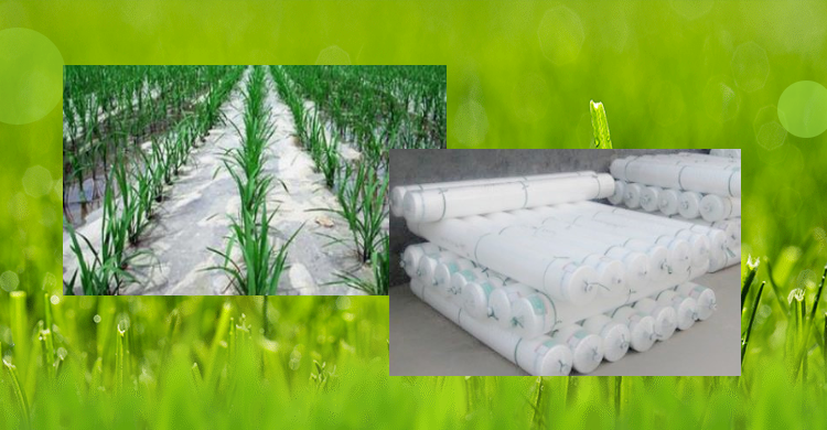 農(nóng)膜，地膜，農(nóng)用薄膜，大棚膜